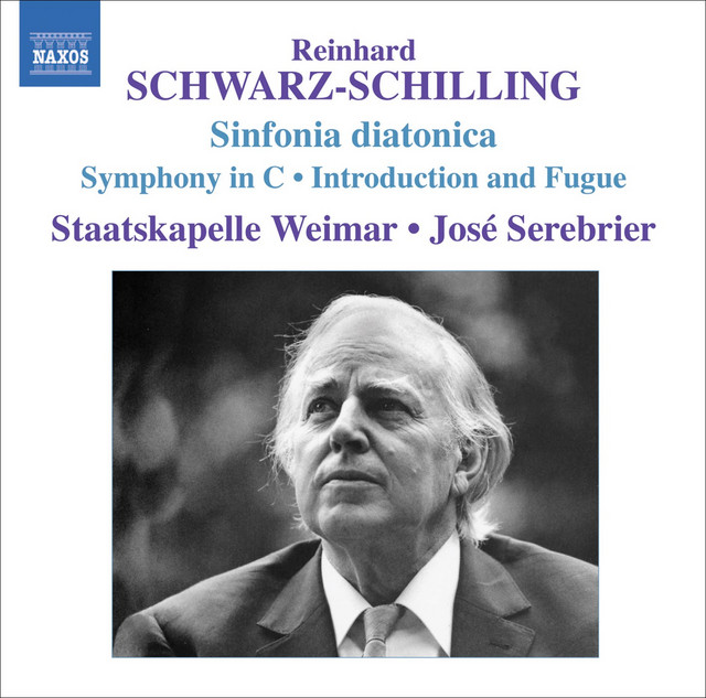 Schwarz-Schilling: Orchestral Works, Vol. 1 cover art