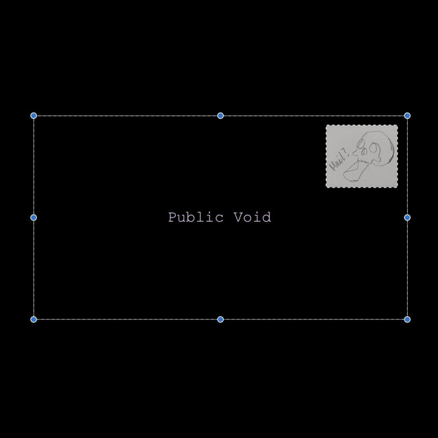 Public Void cover art