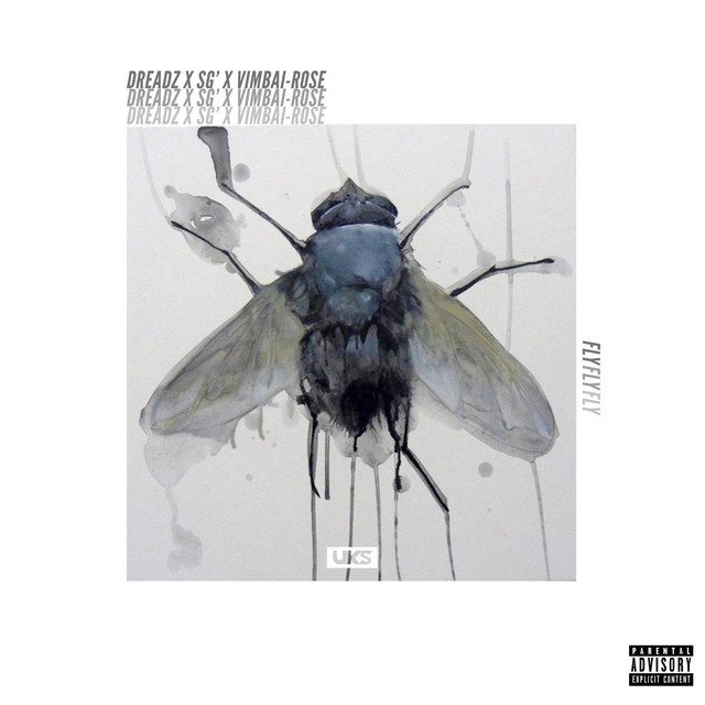 Fly cover art