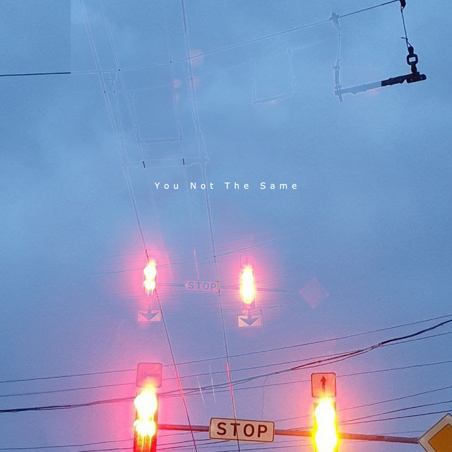 Обкладинка: You Not the Same — Sergio Gusto