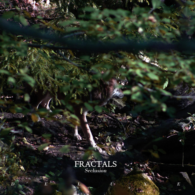 Fractals Photo