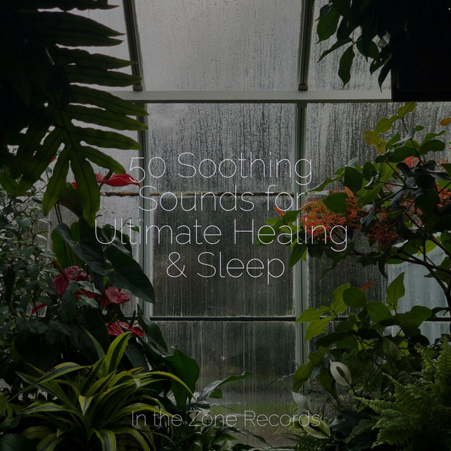 50 Soothing Sounds for Ultimate Healing & Sleep cover art