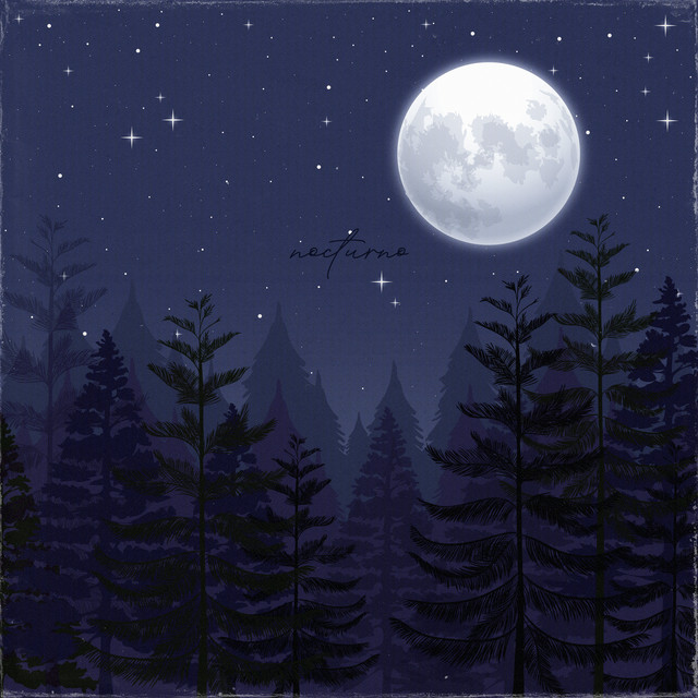 Обкладинка: Nocturno — Grungik