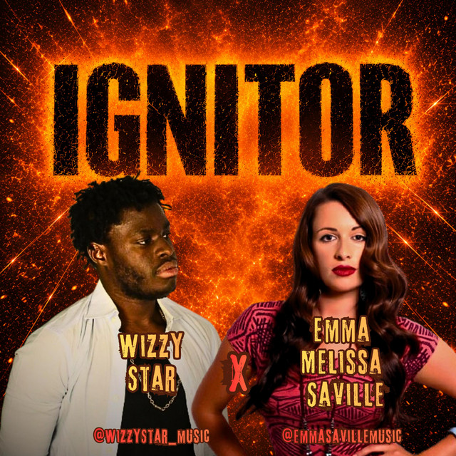 Ignitor cover