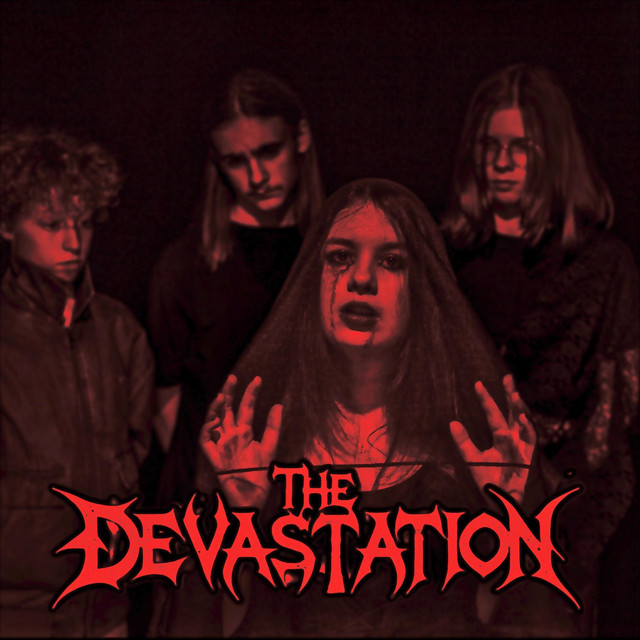 Woman In The Black Veil cover