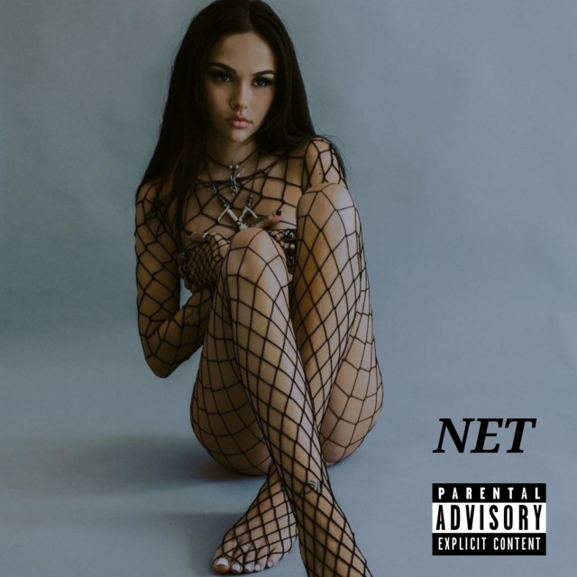 NET cover art