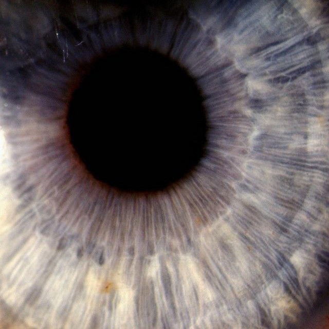 Cover art: Eye of the heart — NDDGAMEE