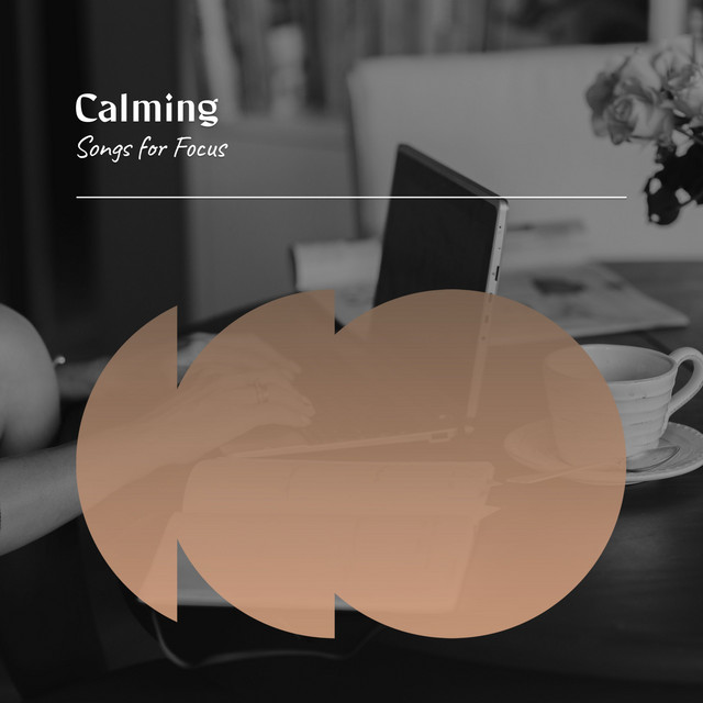 Calming Songs for Focus - Album by Piano for Studying | Spotify