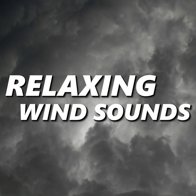 Relaxing Wind Sounds cover art