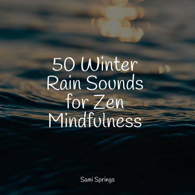 50 Winter Rain Sounds for Zen Mindfulness - Album by Lullaby Rain | Spotify
