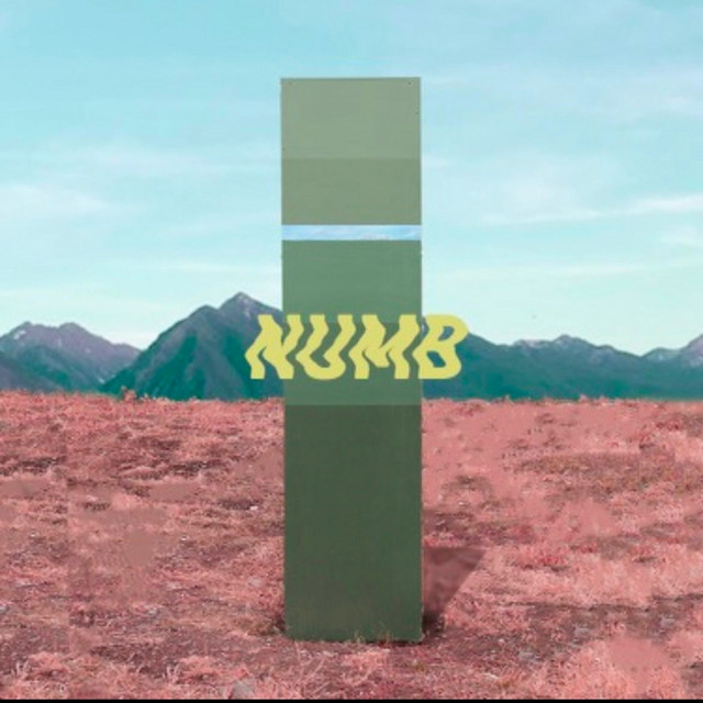 Numb cover art