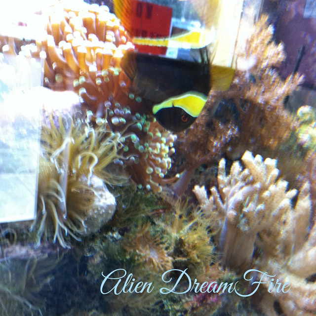 Alien Dream Fire cover art