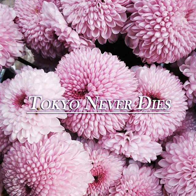 Tokyo Never Dies EP cover