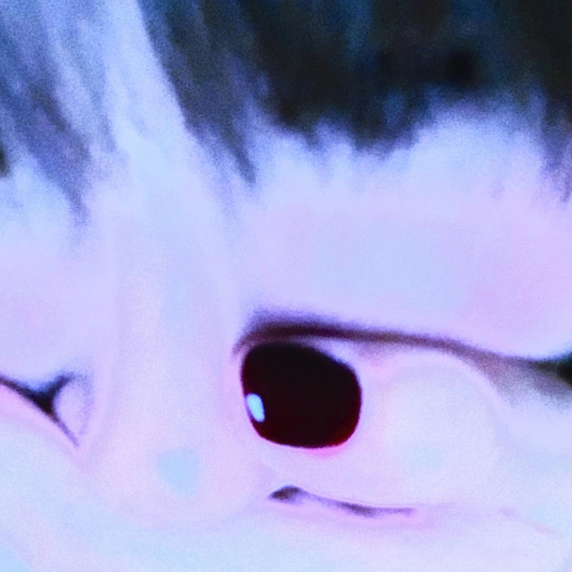 bella cover art