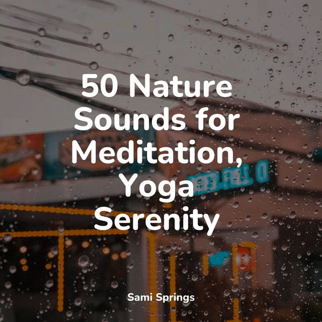 50 Nature Sounds for Meditation, Yoga Serenity - Album by A Sudden ...