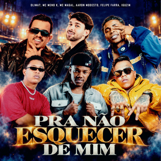 Pra não Esquecer de Mim album image