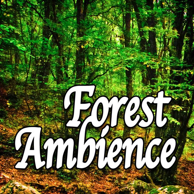 sound 邦楽 forest banbi