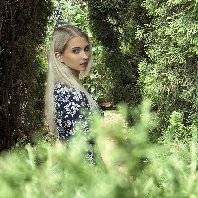 Pixie cover art
