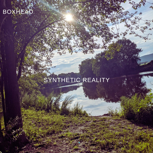 Synthetic Reality cover art
