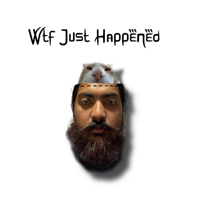 Wtf Just Happened cover art