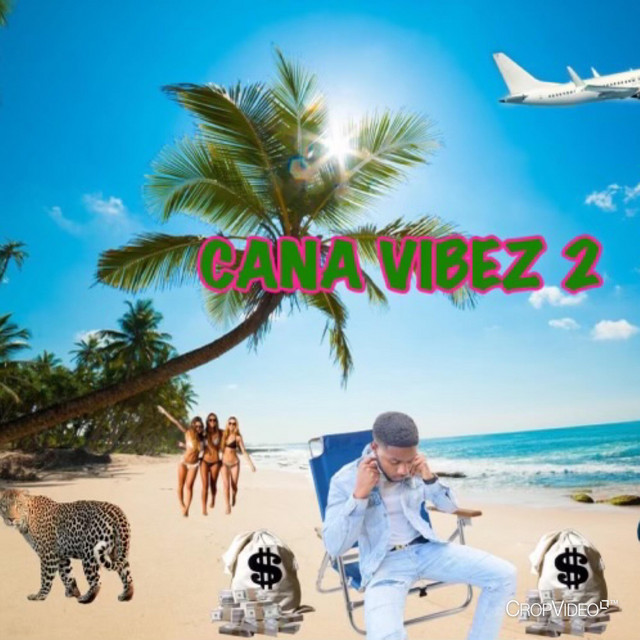 CANA VIBEZ 2 cover art