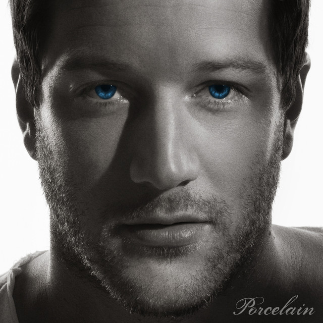 Porcelain cover art