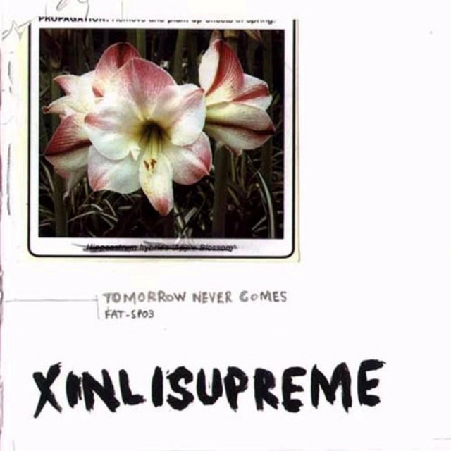 Tomorrow Never Comes cover art