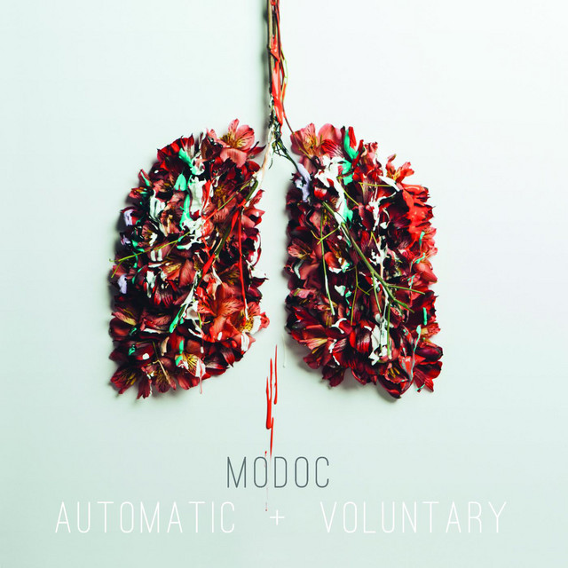 Automatic & Voluntary cover art