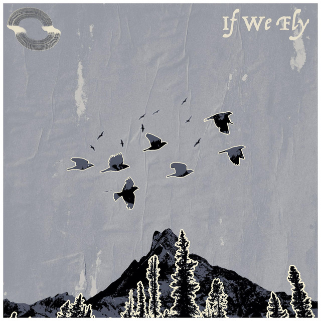If We Fly (single)