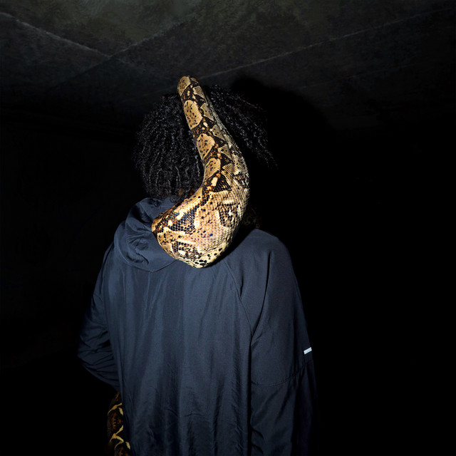 NO SNAKES, cover art