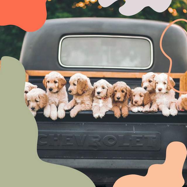 Cultured Ambiance for Doggy Jazz cover art