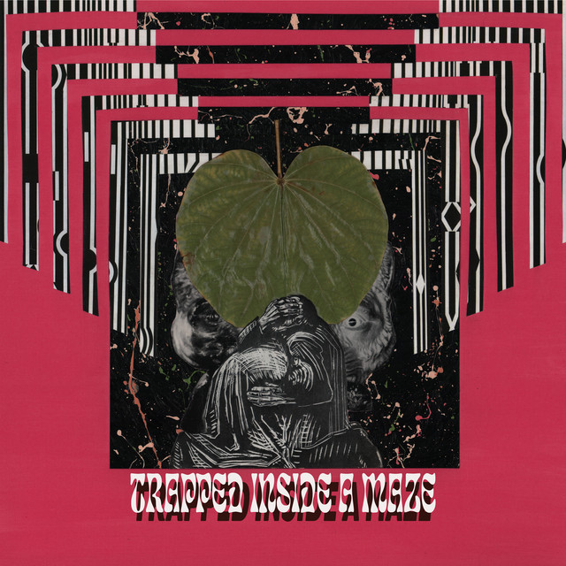 Trapped Inside a Maze cover