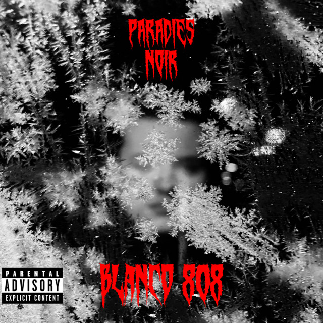 Paradies Noir cover art