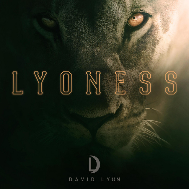Lyoness cover art