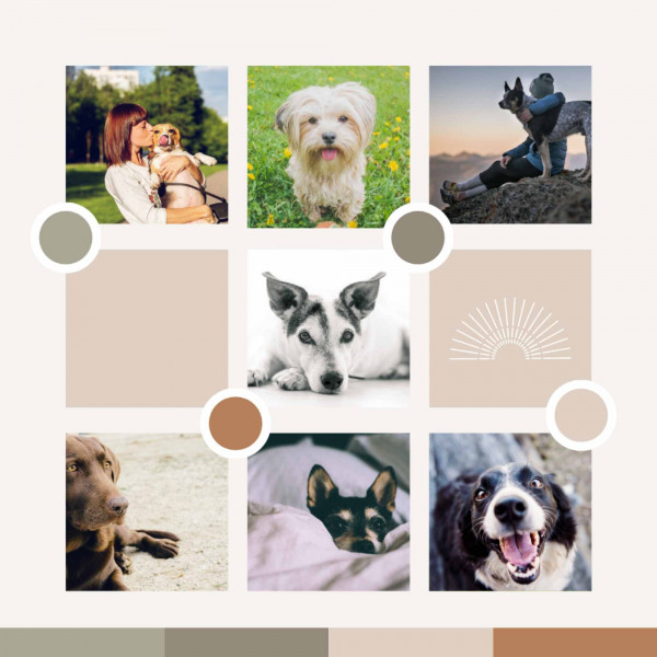 Dog Jazz Sounds
