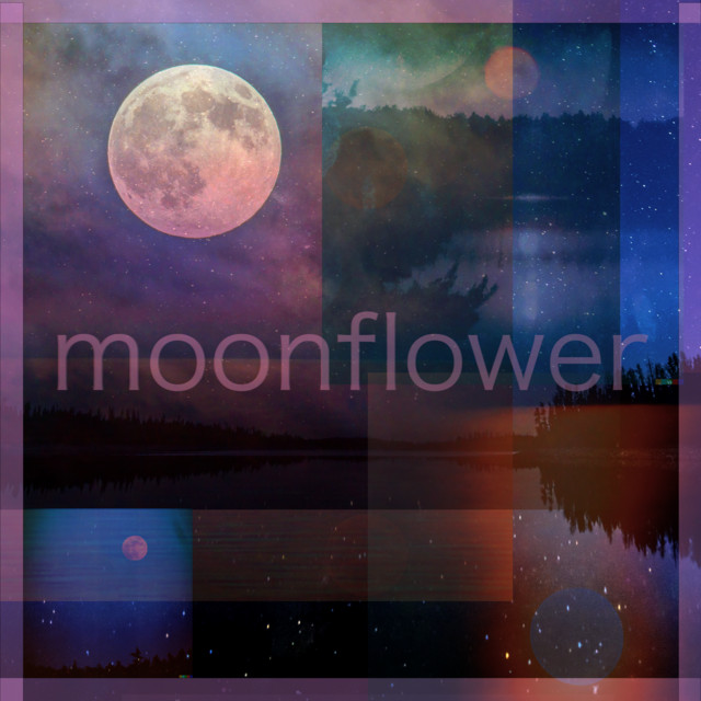 Lunarscapes: Sleep Songs Vol. 1 cover art