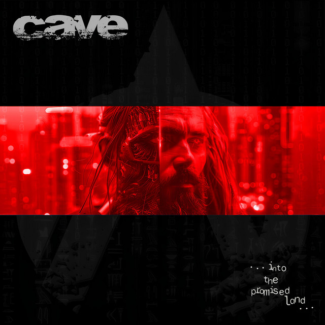 … into the Promised Land cover art