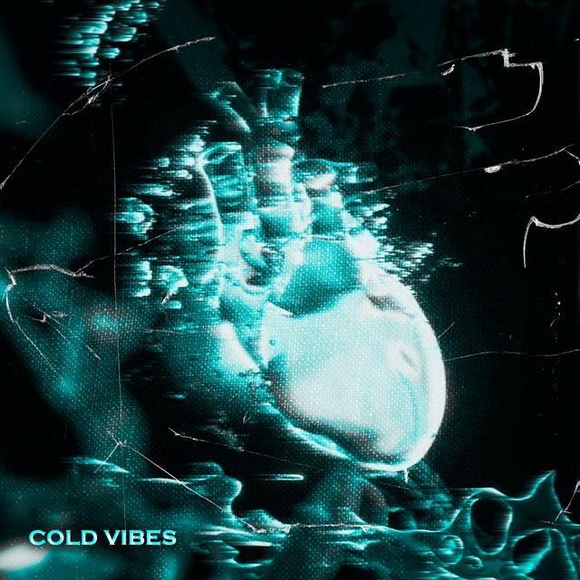 Cover art: Cold Vibes — Panamilor