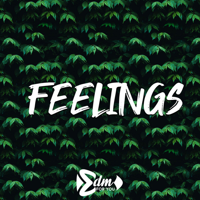Feelings