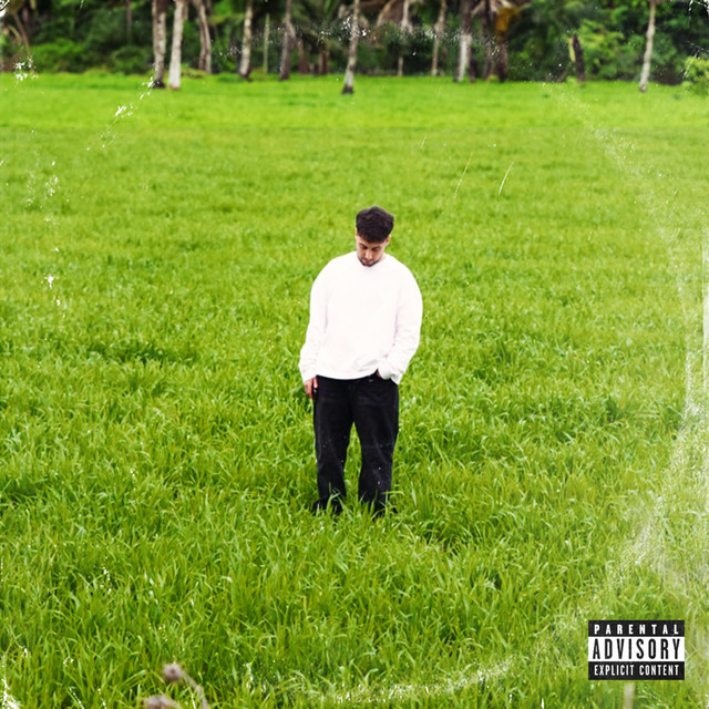 BONSAI cover art