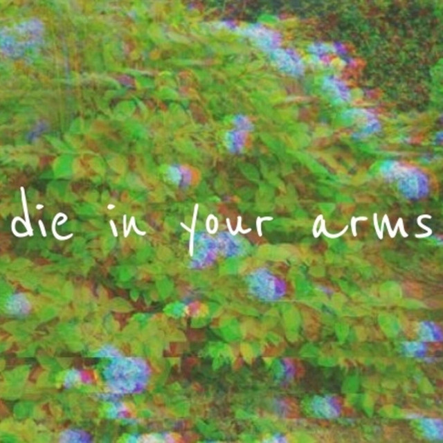 Die in Your Arms cover