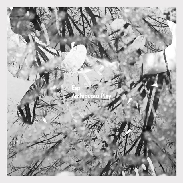 Ambiguous Play cover art