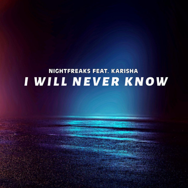 I Will Never Know - song and lyrics by Nightfreaks, Karisha | Spotify