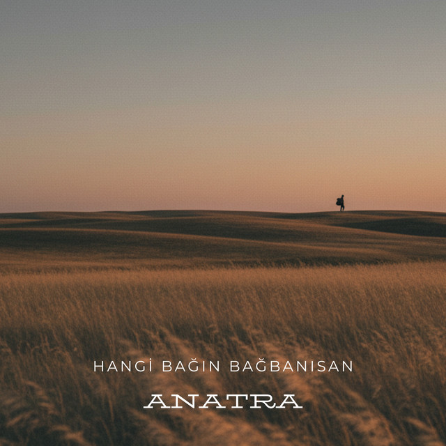 Hangi Bağın Bağbanısan cover art