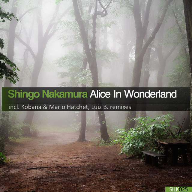 Alice In Wonderland - Luiz B Remix