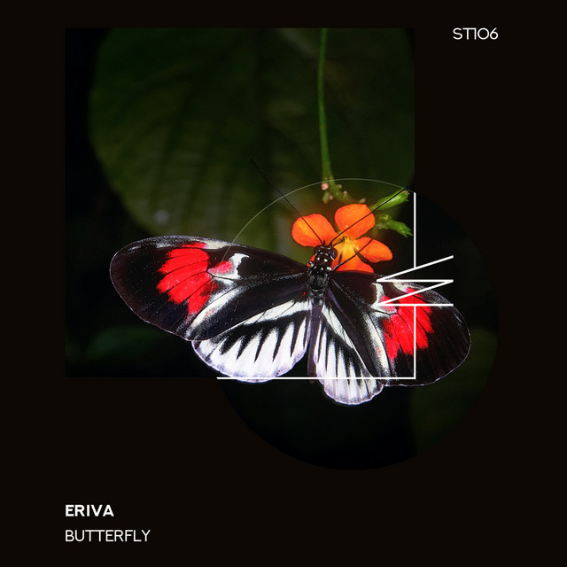 Insects - Radio Edit cover art