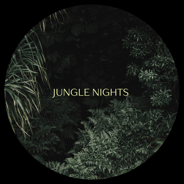 Jungle Nights cover art