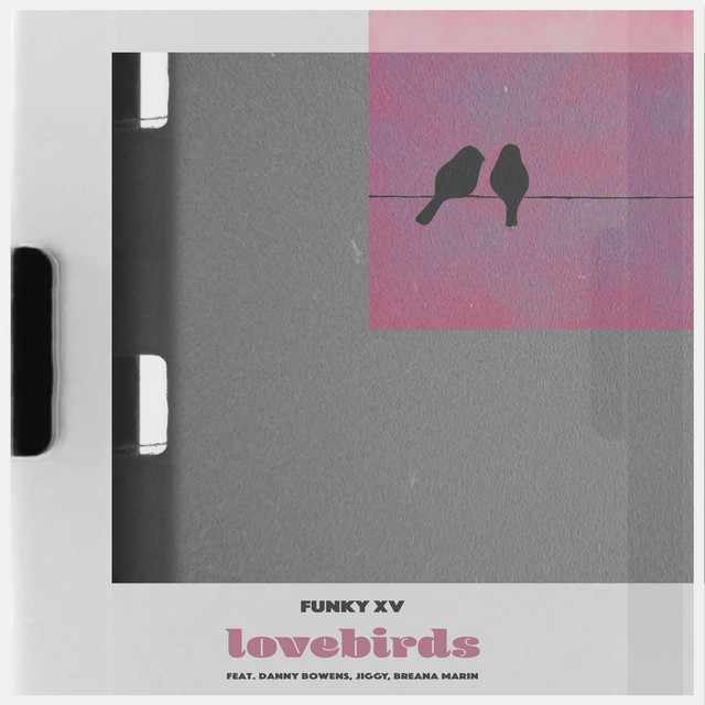 Lovebirds