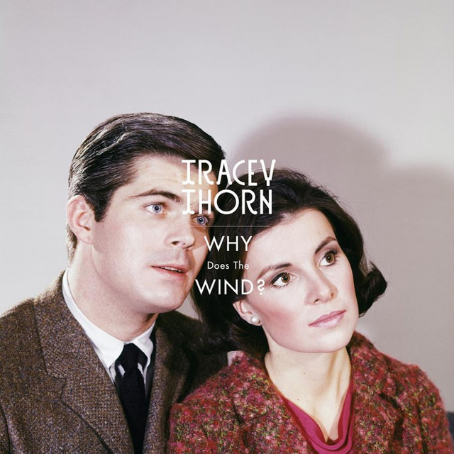 Why Does the Wind? cover art