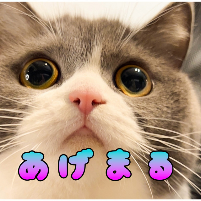Cover art: あげまる — Maru